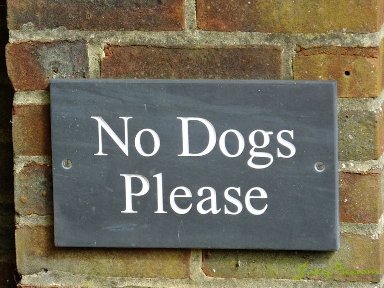 no-dogs-please